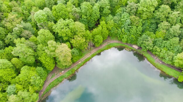 Bella vista aerea del lago della foresta selvaggia