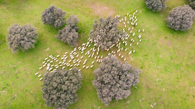 Bella vista aerea della campagna