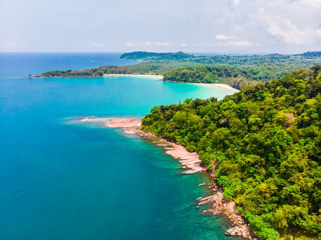 Bella vista aerea della spiaggia e del mare con palme da cocco