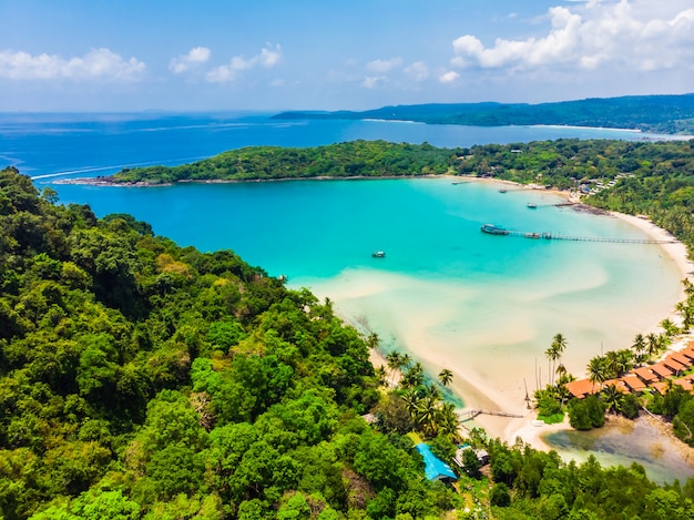 Bella vista aerea della spiaggia e del mare con palme da cocco