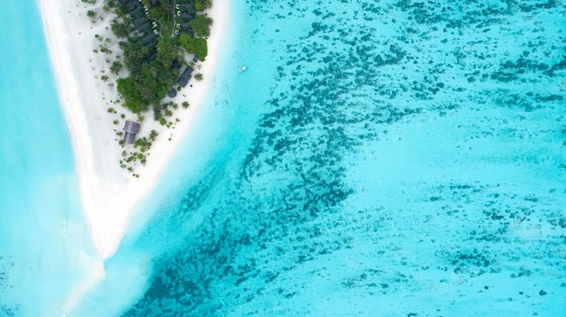 Bella vista aerea delle Maldive e della spiaggia tropicale. Concetto di viaggio e vacanza