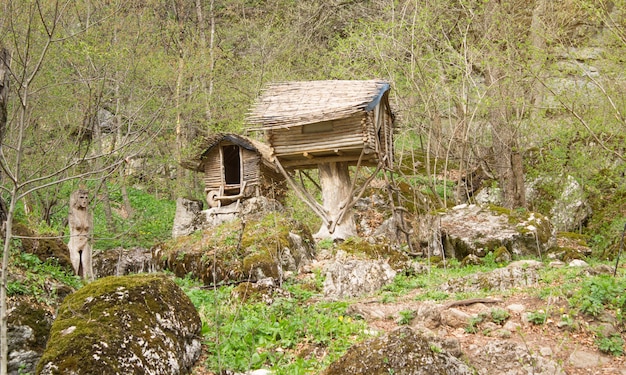 Bella vista. Casa in legno in una foresta. Armenia