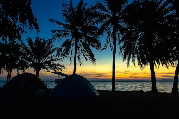 Bella vista con le palme all'alba vicino al serbatoio Piantate una tenda vicino alla diga provincia di Saraburi Thailandia