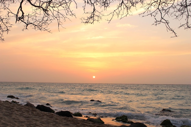 Bella vista da una spiaggia rocciosa a Isla Baru Colombia con ramoscelli nudi sulla riva al tramonto