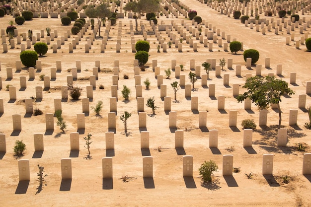 Bella vista del cimitero di guerra britannico di El Alamein a El Alamein, Egitto