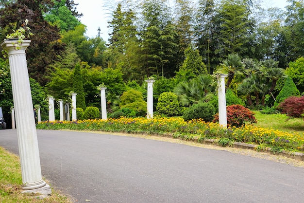 Bella vista del giardino botanico di Batumi, Georgia