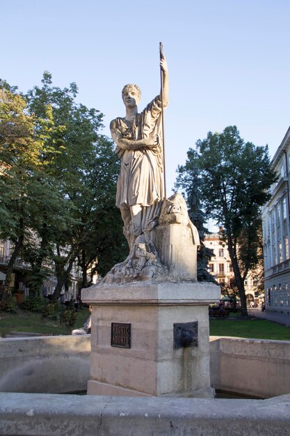 Bella vista del monumento alla strada di Lviv Ucraina
