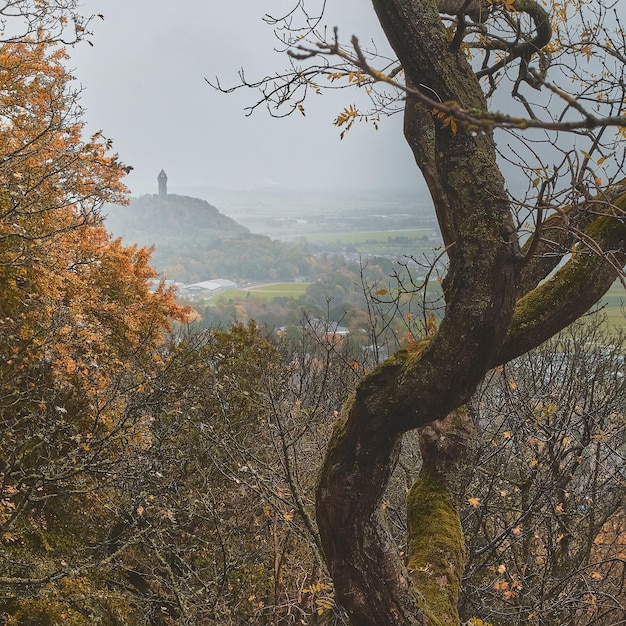 Bella vista del monumento nazionale di Wallace visto lontano nella foresta durante l'autunno colorato