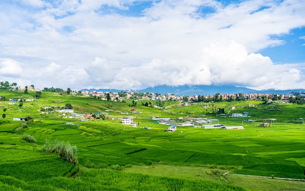 Bella vista del paesaggio di Summer Paddy terreni agricoli Khojana Lalitpur Nepal