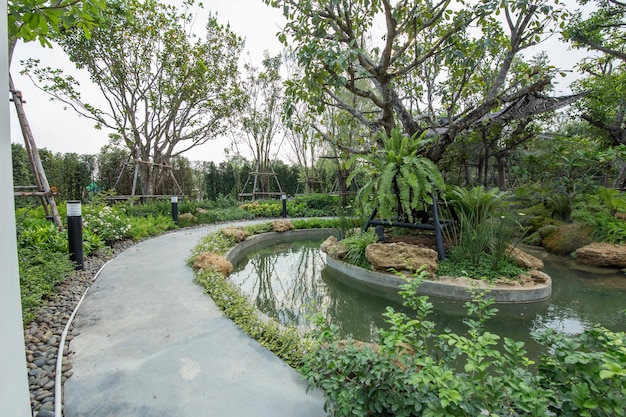 Bella vista del paesaggio naturale nel giardino di casa