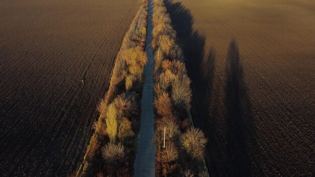 Bella vista del paesaggio vecchia strada asfaltata con alberi e ombre tra grandi f agricoli arati