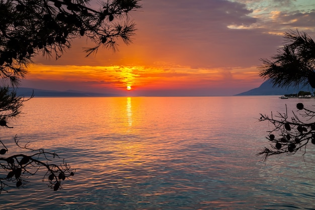 Bella vista del tramonto attraverso i pini, Croazia