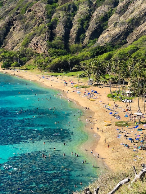 Bella vista della baia di Hanauma a Honolulu, negli Stati Uniti