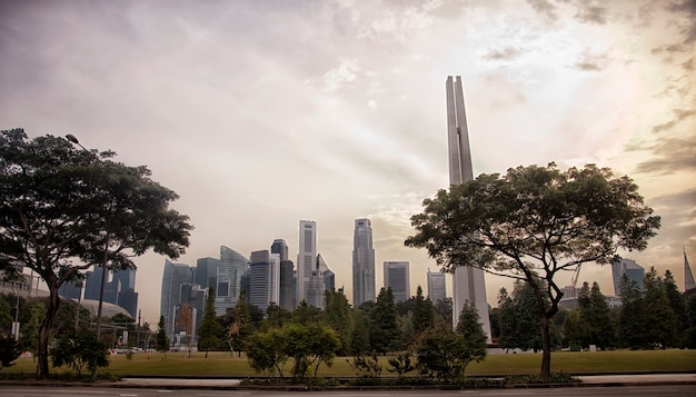 Bella vista della città di Singapore, alberi verdi, grattacieli, parco