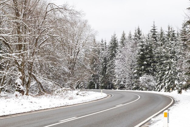 Bella vista della strada nella foresta invernale