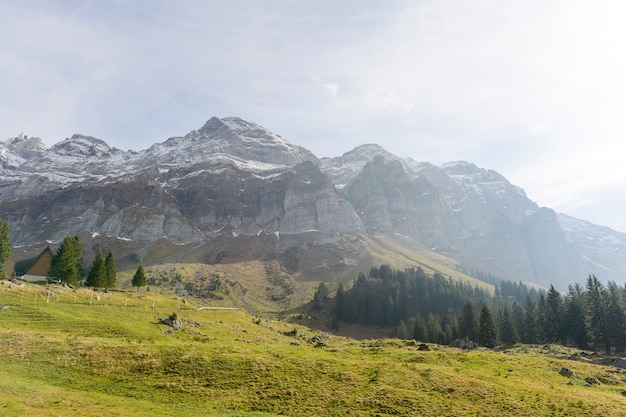 Bella vista della valle di montagna Saentis, in Svizzera