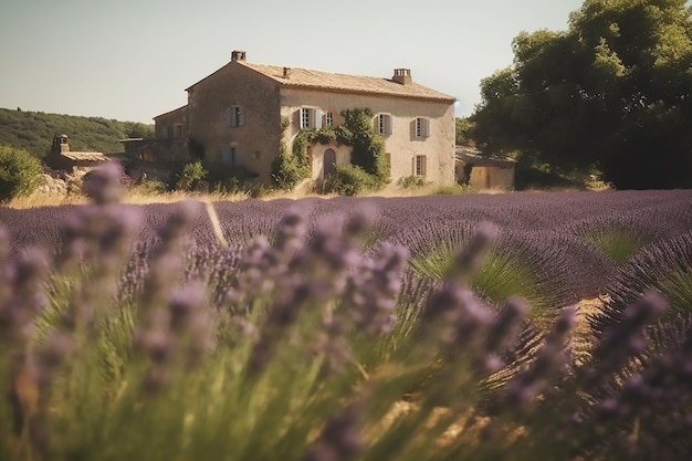 Bella vista della vecchia casa in Provenza in una luminosa giornata di sole con un campo di lavanda in primo piano IA generatrice