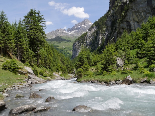 Bella vista di un fiume che scorre circondato da alberi e montagne sotto un cielo azzurro nuvoloso