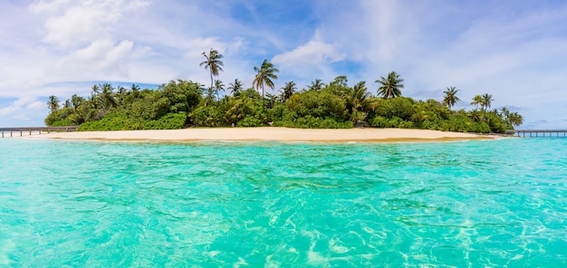 Bella vista di un'isola con una fitta foresta dall'acqua delle Maldive in una giornata di sole