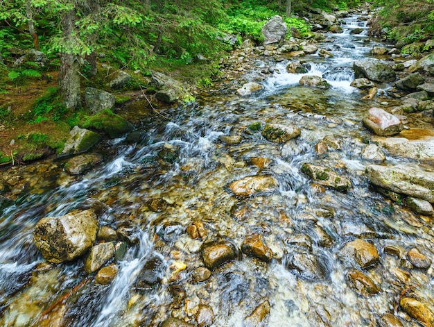 Bella vista estiva sul fiume di montagna con acqua pulita (Polonia).