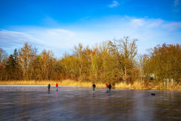 bella vista invernale su un lago in Germania Ingolstdt lago ghiacciato anatre e cigni su un lago invernale