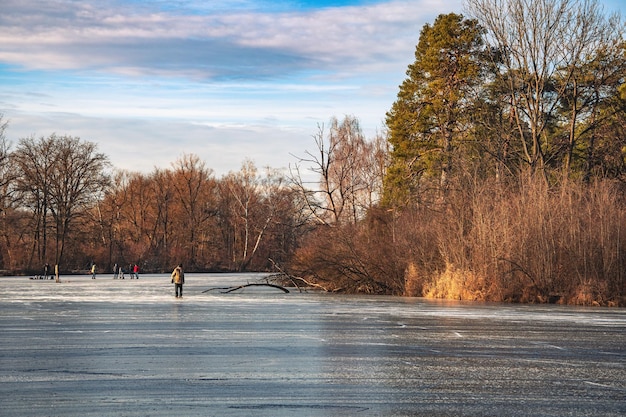 bella vista invernale su un lago in Germania Ingolstdt lago ghiacciato anatre e cigni su un lago invernale