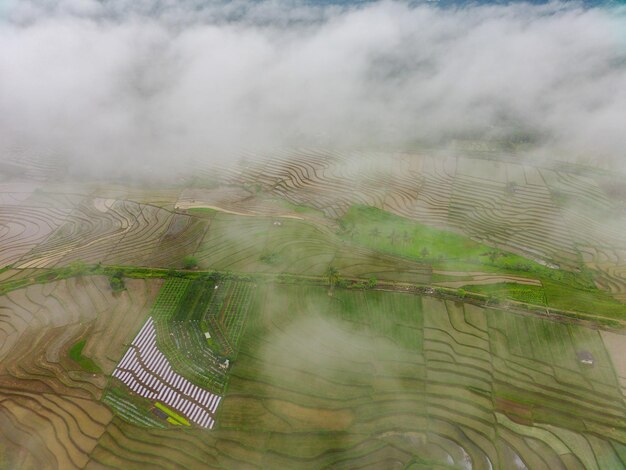 Bella vista mattutina dell'Indonesia Foto aerea della nebbia mattutina sui campi di riso