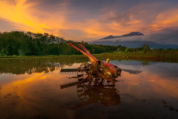 Bella vista mattutina indonesia panorama paesaggio campi di riso con bellezza colore e cielo luce naturale