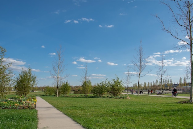 Bella vista nel parco cielo blu con nuvole giornata di sole estivo nella natura Ingolstadt