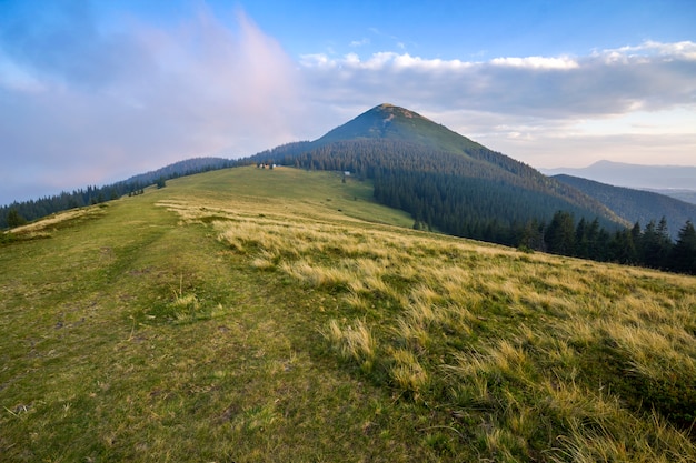 Bella vista pacifica del pendio ripido erboso verde e delle piccole capanne rurali rurali ai piedi della magnifica montagna carpatica distante in Ucraina il giorno di estate soleggiato luminoso.