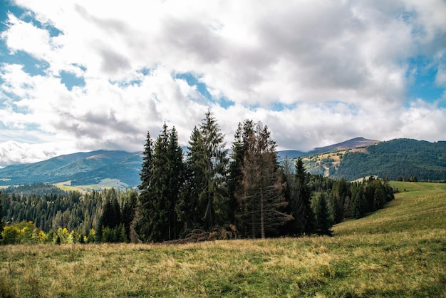 Bella vista panoramica del paesaggio montano con foresta di conifere su una catena montuosa con prati collinari boscosi coperti di nuvole di erba nel cielo blu in una giornata di sole Ecoturismo