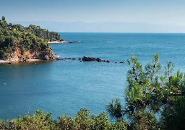 Bella vista panoramica sul Mar Nero con le isole sullo sfondo Costa rocciosa con alberi e pini in una soleggiata giornata estiva