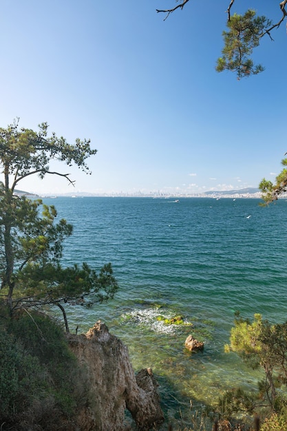 Bella vista panoramica sul Mar Nero e sulla città sullo sfondo Costa rocciosa con alberi e pini in una soleggiata giornata estiva