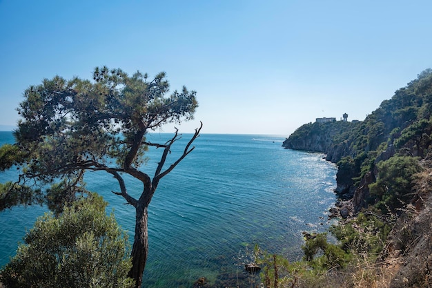 Bella vista panoramica sul Mar Nero e sulla costa rocciosa con alberi e pini in una soleggiata giornata estiva