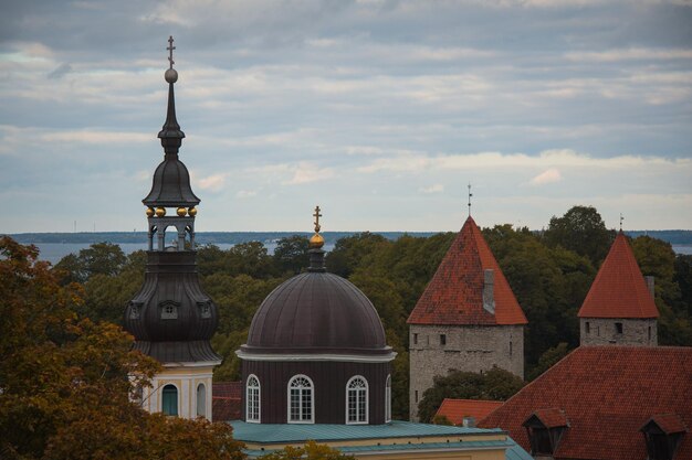 Bella vista sul centro storico di Tallinn.