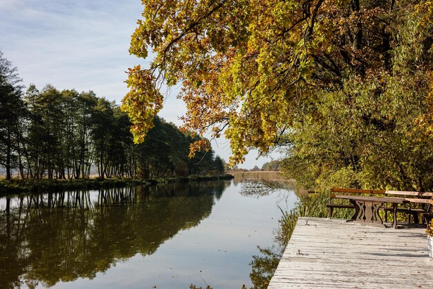 Bella vista sul fiume con alberi Paesaggio autunnale in riva al fiume