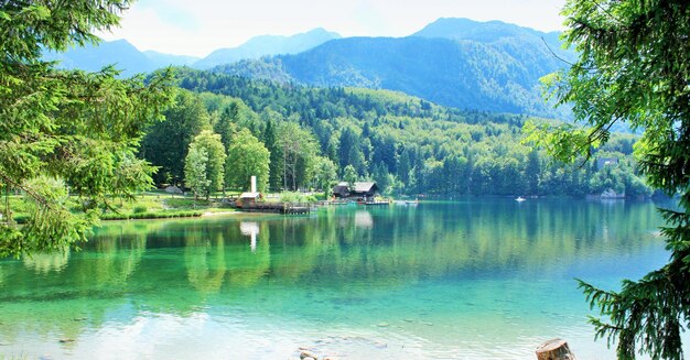 Bella vista sul lago di montagna con riflesso Lago di Bohinj Slovenia