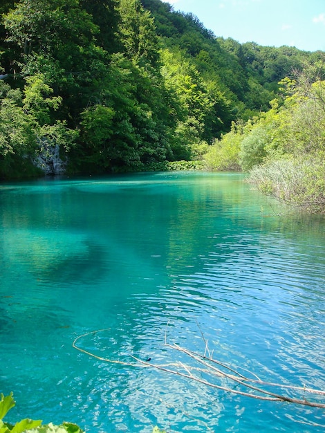 Bella vista sul lago in una giornata di sole Parco nazionale di Plitvice Croazia