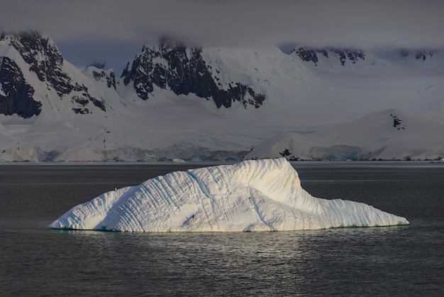 Bella vista sul mare Antartide con iceberg