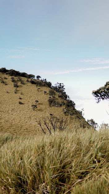 Bella vista sul monte Merbabu