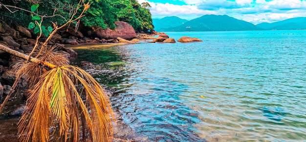 bella vista sull'oceano con rocce