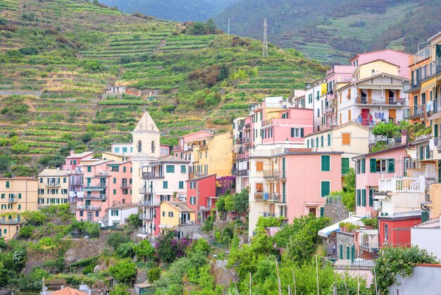 Bella vista sulla città di Manarola