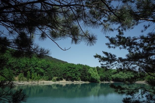 Bella vista sulla montagna attraverso i rami degli alberi decidui. Lago, mare, Crimea