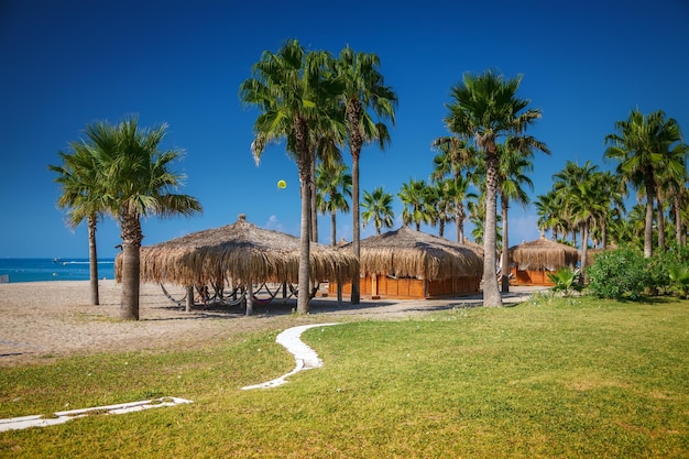 Bella vista sulla spiaggia estiva con palme e case sulla spiaggia - bungalow