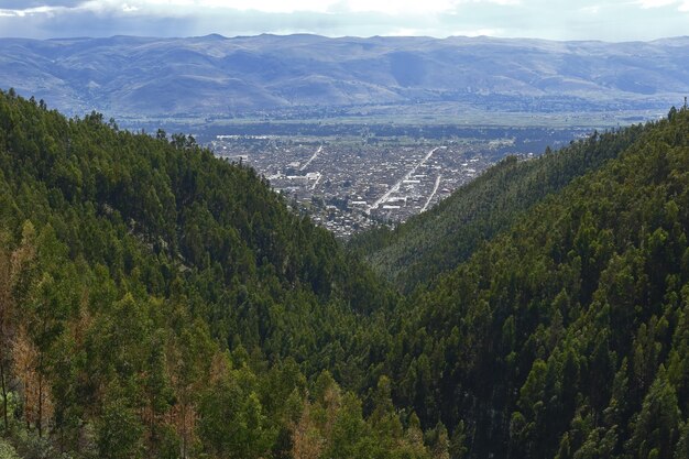 Bella vista sulle foreste di eucalipti Ocopilla