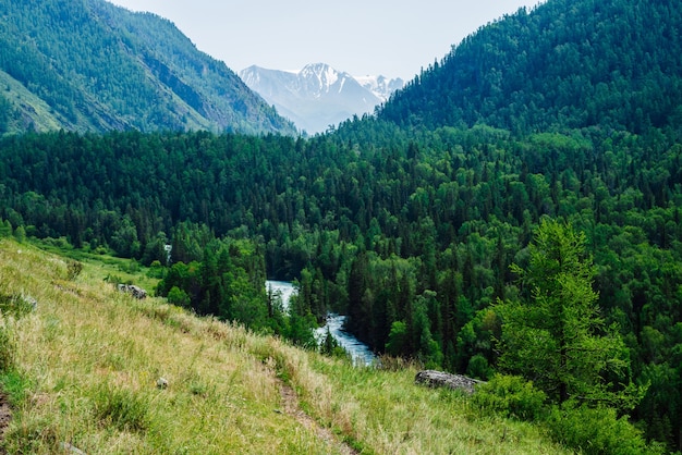 Bella vista sulle montagne al grande ghiacciaio dietro la valle del fiume con una foresta lussureggiante.