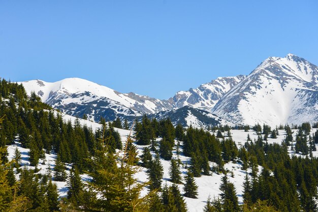 Bella vista sulle montagne innevate con cielo blu, durante la giornata di sole in primavera. Tatra occidentali.