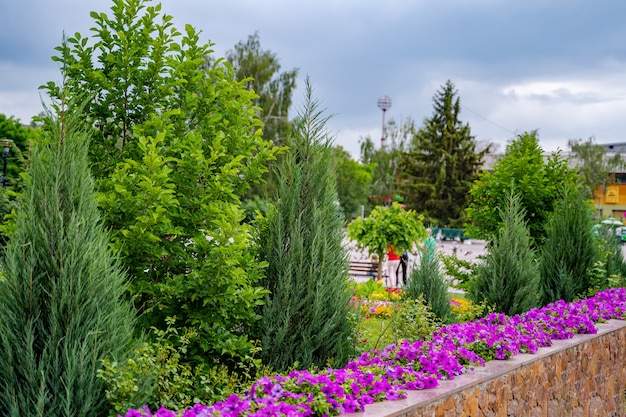 Belle aiuole all'aperto. Progettazione del paesaggio fuori casa. Alberi e cespugli moderni ed eleganti.