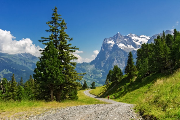 Belle alpi idilliache paesaggio e sentiero, montagne in estate, Svizzera