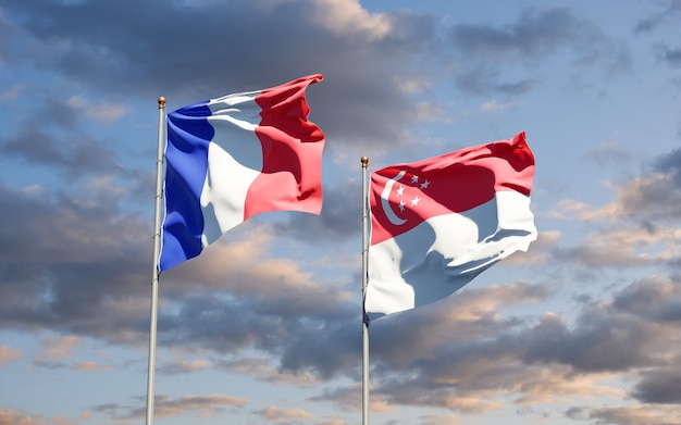 Belle bandiere di stato nazionali di Francia e Singapore insieme